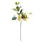 31" Lemon Branch by Ashland®